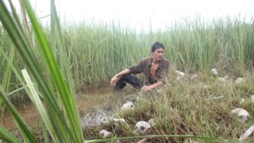 Bunohan Return to Murder review