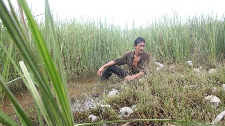 Bunohan Return to Murder review