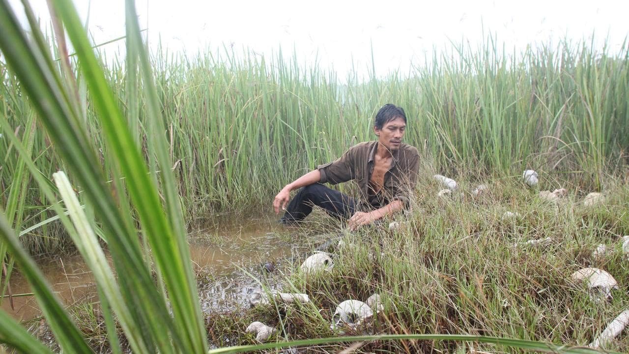 Bunohan Return to Murder review