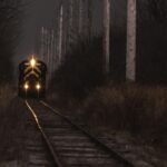 The Zanetti Train - Social Momus