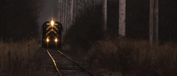 The Zanetti Train - Social Momus