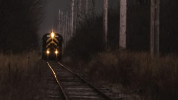 The Zanetti Train - Social Momus