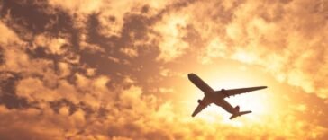 the_flight